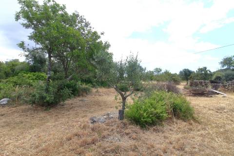 Terreno Misto  Venda em Santa Bárbara de Nexe,Faro