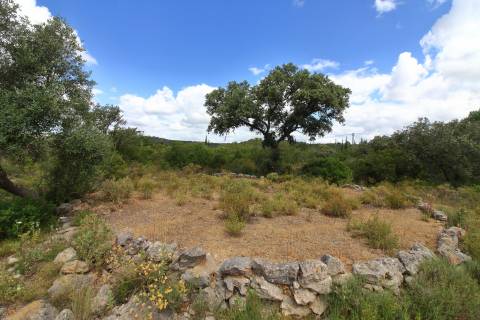 Terreno Misto  Venda em Santa Bárbara de Nexe,Faro