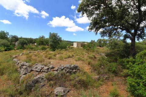 Terreno Misto  Venda em Santa Bárbara de Nexe,Faro
