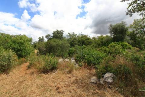Terreno Misto  Venda em Santa Bárbara de Nexe,Faro