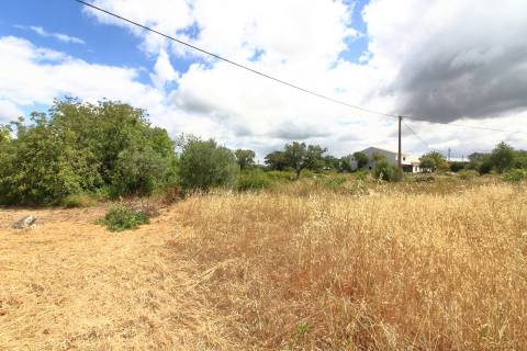 Terreno Misto  Venda em Santa Bárbara de Nexe,Faro