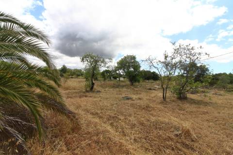 Terreno Misto  Venda em Santa Bárbara de Nexe,Faro