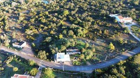Terreno Misto  Venda em Santa Bárbara de Nexe,Faro