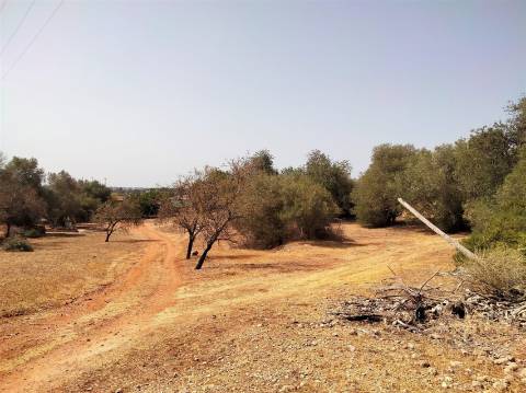 Terreno Para Construção  Venda em Loulé (São Sebastião),Loulé