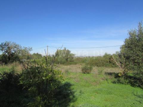 Terreno Para Construção  Venda em Almancil,Loulé