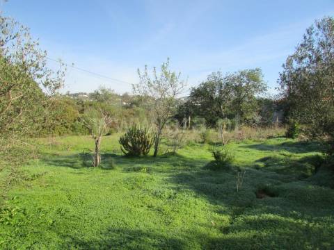 Terreno Para Construção  Venda em Almancil,Loulé