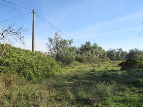 Terreno Para Construção  Venda em Almancil,Loulé