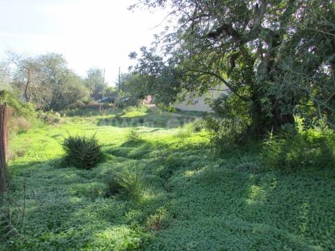 Terreno Para Construção  Venda em Almancil,Loulé