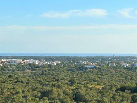 Lote de Terreno  Venda em Almancil,Loulé