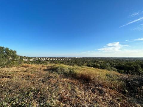 Lote de Terreno  Venda em Almancil,Loulé