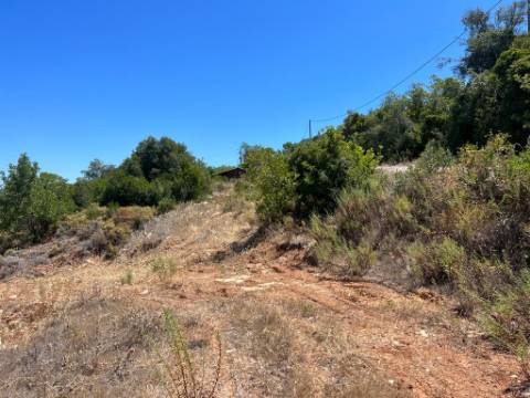 Terreno Rústico  Venda em Santa Bárbara de Nexe,Faro