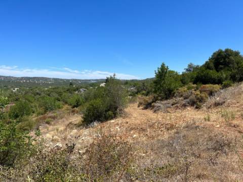 Terreno Rústico  Venda em Santa Bárbara de Nexe,Faro