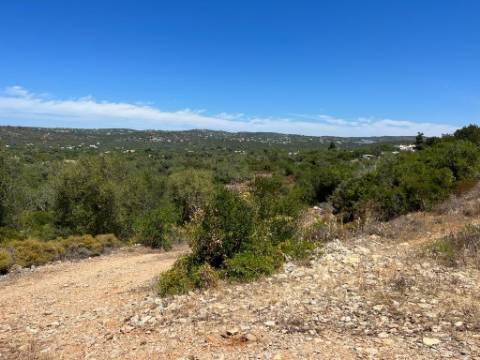 Terreno Rústico  Venda em Santa Bárbara de Nexe,Faro