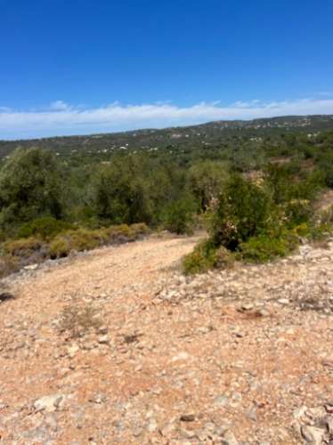 Terreno Rústico  Venda em Santa Bárbara de Nexe,Faro