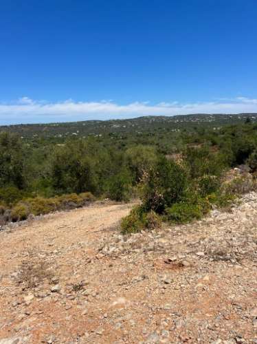 Terreno Rústico  Venda em Santa Bárbara de Nexe,Faro