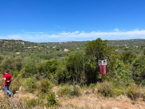 Terreno Rústico  Venda em Santa Bárbara de Nexe,Faro