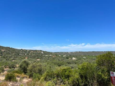 Terreno Rústico  Venda em Santa Bárbara de Nexe,Faro