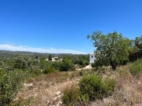 Terreno Rústico  Venda em Santa Bárbara de Nexe,Faro