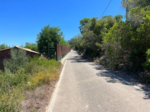 Terreno Rústico  Venda em Santa Bárbara de Nexe,Faro