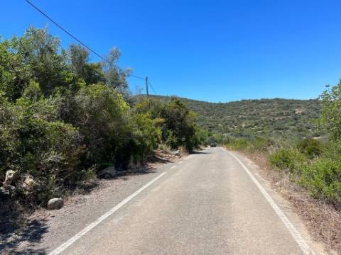 Terreno Rústico  Venda em Santa Bárbara de Nexe,Faro