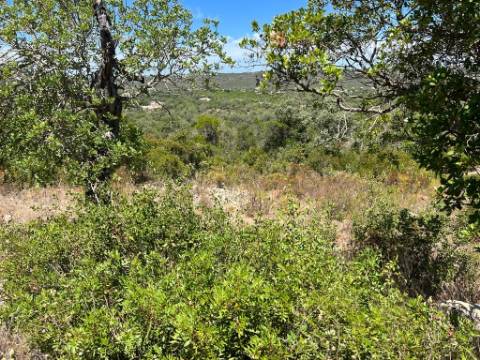 Terreno Rústico  Venda em Santa Bárbara de Nexe,Faro