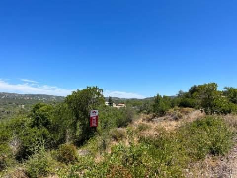 Terreno Rústico  Venda em Santa Bárbara de Nexe,Faro