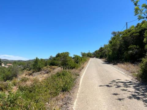 Terreno Rústico  Venda em Santa Bárbara de Nexe,Faro