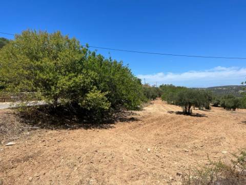 Terreno Rústico  Venda em Santa Bárbara de Nexe,Faro