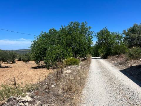 Terreno Rústico  Venda em Santa Bárbara de Nexe,Faro