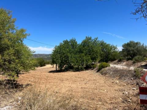Terreno Rústico  Venda em Santa Bárbara de Nexe,Faro