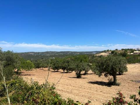 Terreno Rústico  Venda em Santa Bárbara de Nexe,Faro