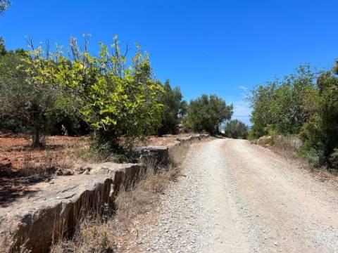 Terreno Rústico  Venda em Santa Bárbara de Nexe,Faro