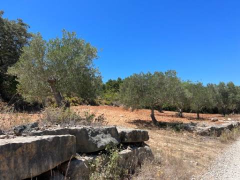 Terreno Rústico  Venda em Santa Bárbara de Nexe,Faro