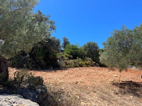 Terreno Rústico  Venda em Santa Bárbara de Nexe,Faro