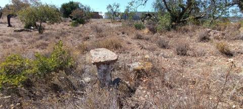 Terreno Urbano  Venda em Santa Bárbara de Nexe,Faro