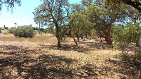Terreno Para Construção  Venda em Almancil,Loulé
