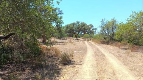 Terreno Para Construção  Venda em Almancil,Loulé