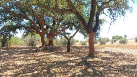 Terreno Para Construção  Venda em Almancil,Loulé