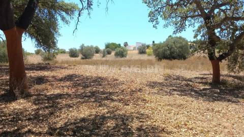 Terreno Para Construção  Venda em Almancil,Loulé