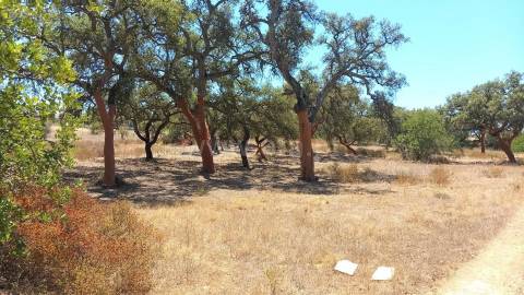 Terreno Para Construção  Venda em Almancil,Loulé