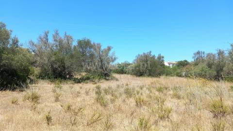 Terreno Rústico  Venda em Loulé (São Clemente),Loulé