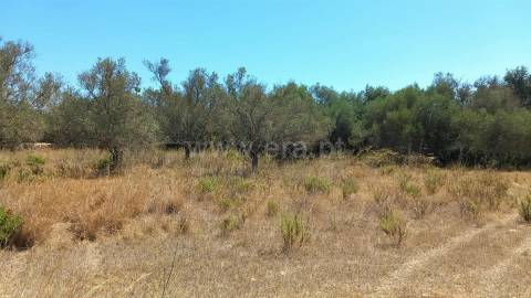Terreno Rústico  Venda em Loulé (São Clemente),Loulé
