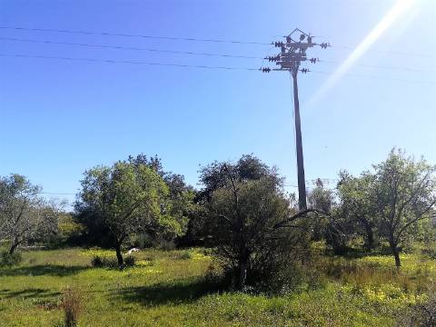 Terreno Rústico  Venda em Boliqueime,Loulé