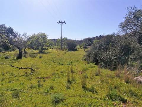 Terreno Rústico  Venda em Boliqueime,Loulé