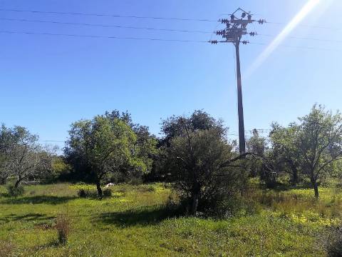 Terreno Rústico  Venda em Boliqueime,Loulé