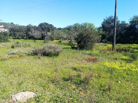 Terreno Rústico  Venda em Boliqueime,Loulé