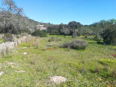 Terreno Rústico  Venda em Boliqueime,Loulé