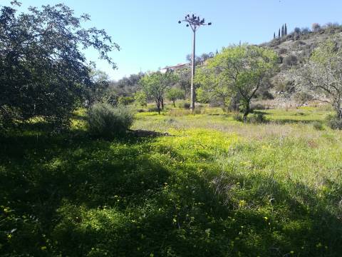Terreno Rústico  Venda em Boliqueime,Loulé