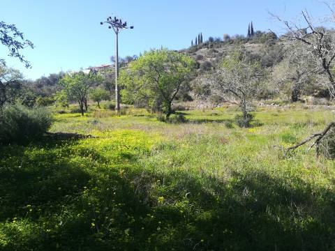 Terreno Rústico  Venda em Boliqueime,Loulé