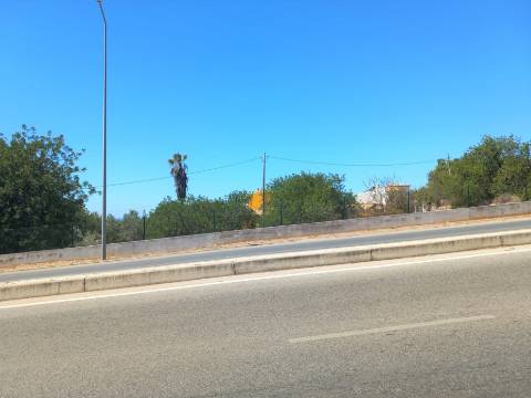 Terreno Rústico  Arrendamento em Loulé (São Clemente),Loulé